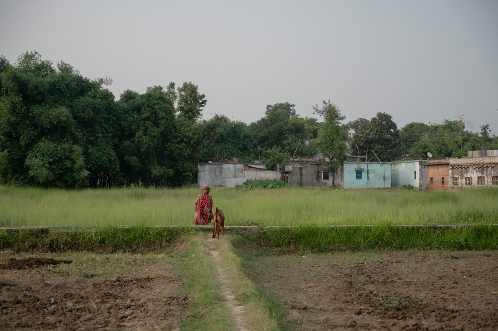 Employment Opportunities